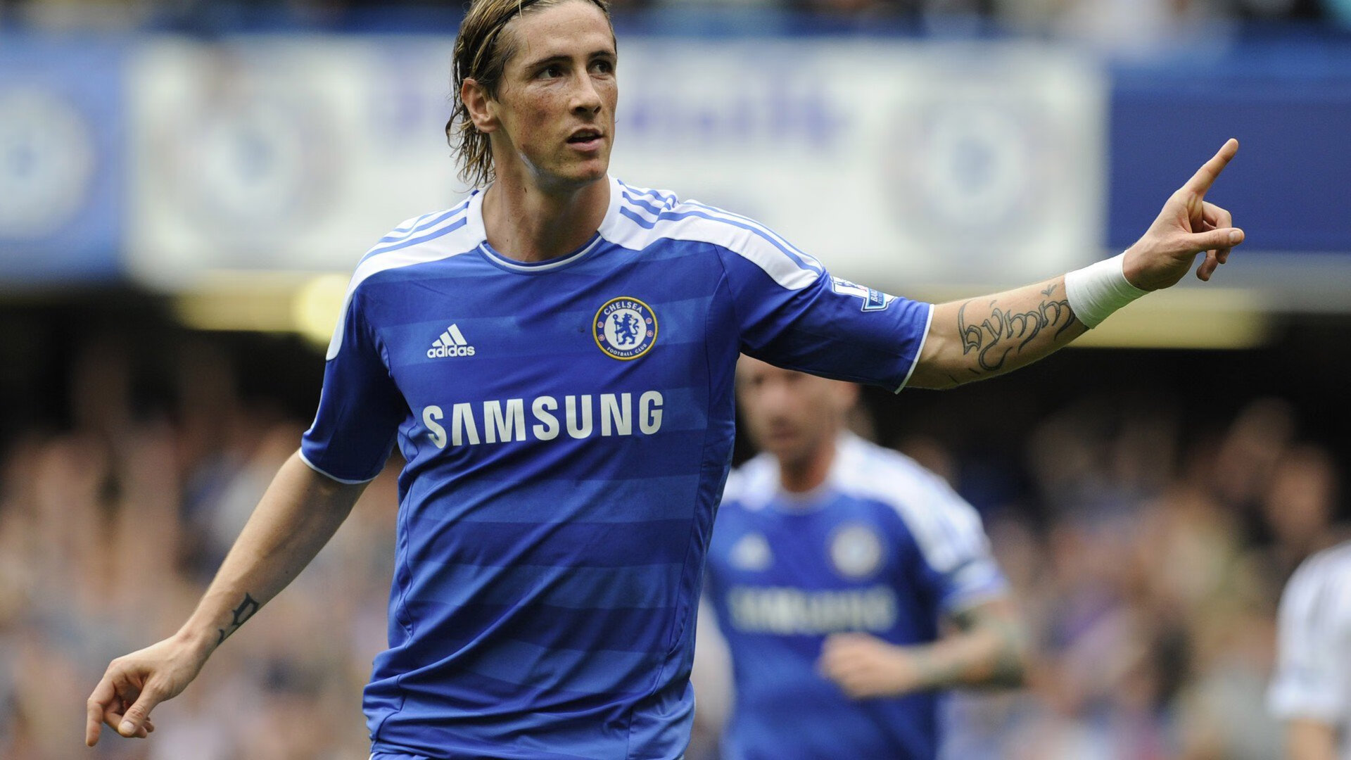 健身饮食蛋白质摄入